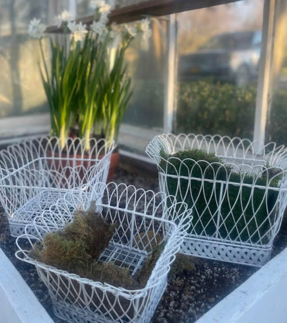 SQUARE WHITE FRENCH WIRE BASKET (3 Sizes)