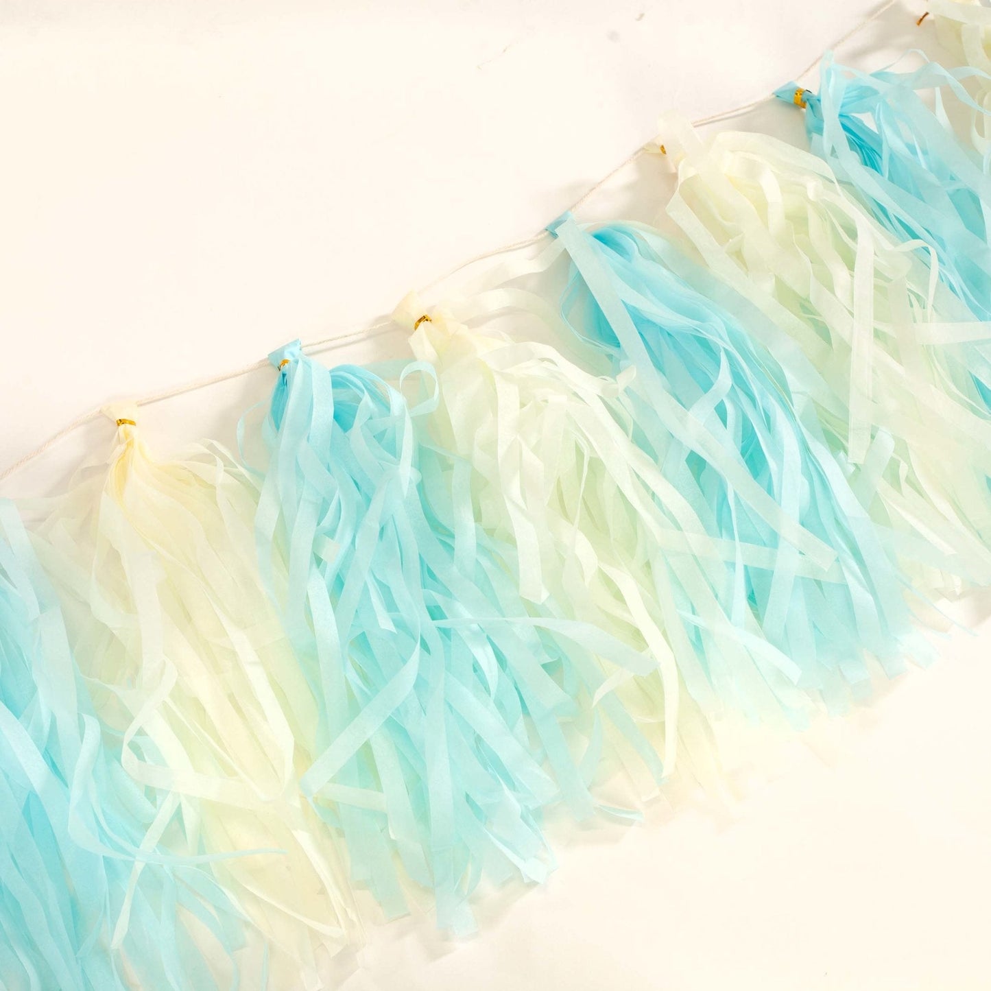 Blue and Yellow Pastel Paper Tassel Tail