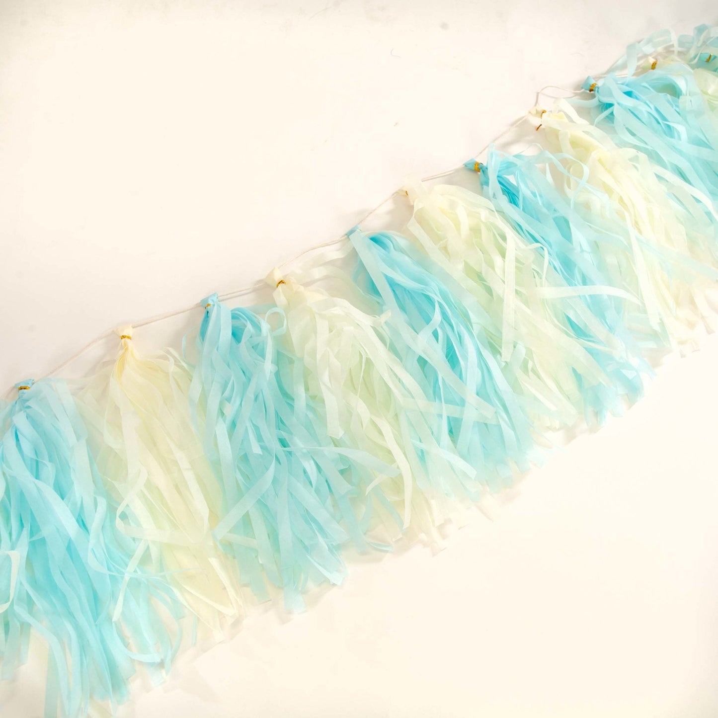 Blue and Yellow Pastel Paper Tassel Tail