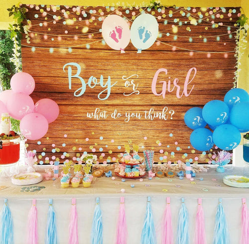 Gender Reveal Vinyl Wood Backdrop