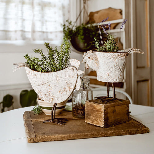 Indoor/Outdoor Distressed Hen Planter, Choose Your Style