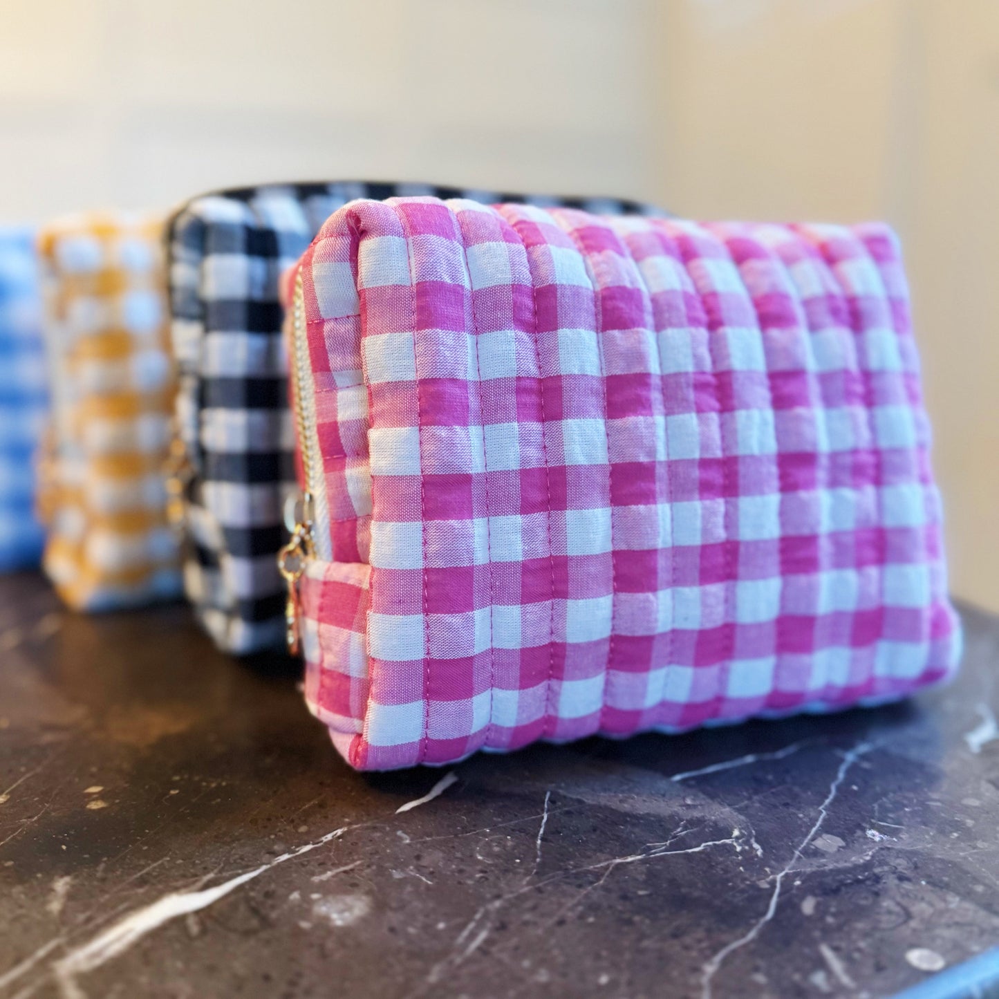 Color Parade Gingham Cosmetic Case