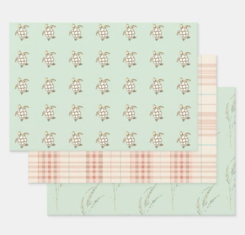 Cottage - Coastal Sea Turtles