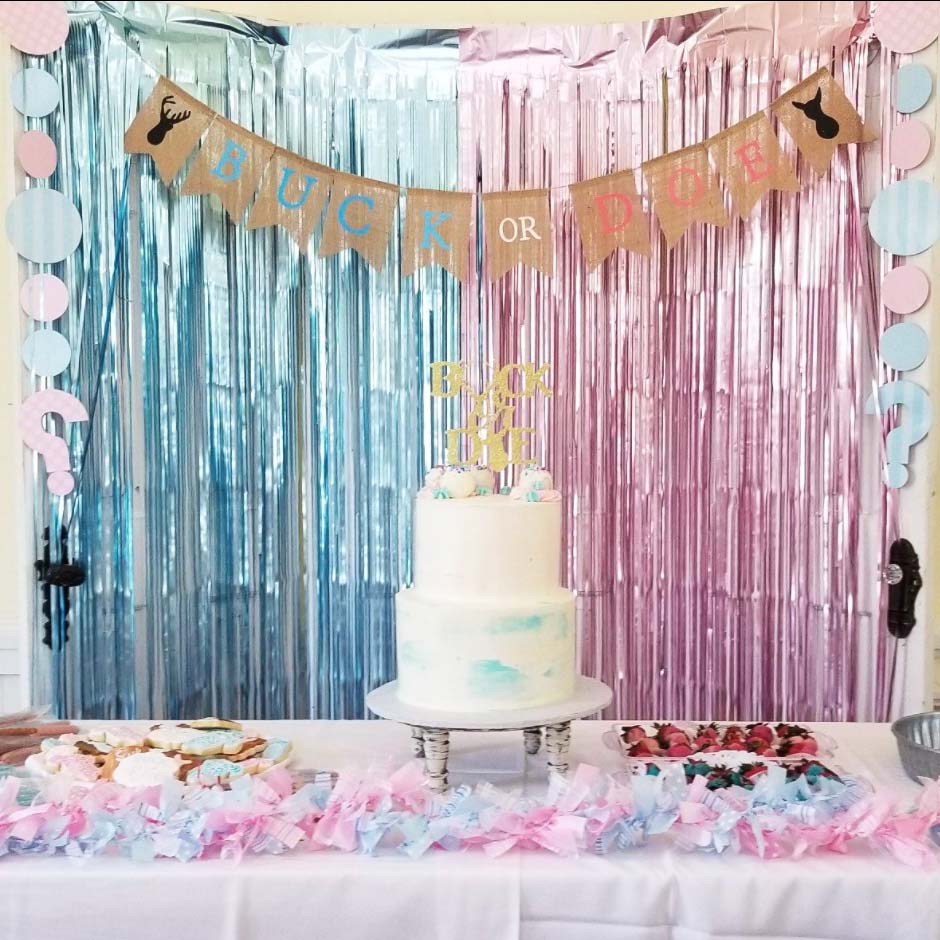 Gender Reveal Fringe Backdrop